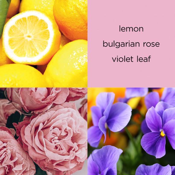 lemon, bulgarian rose, violet leaf