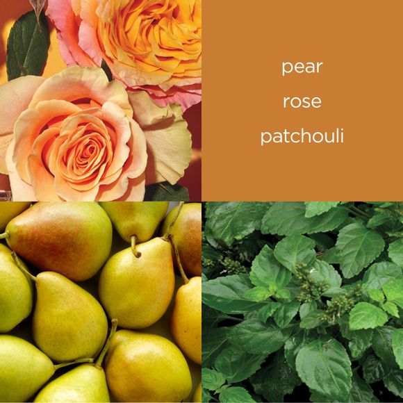 pear
rose 
patchouli