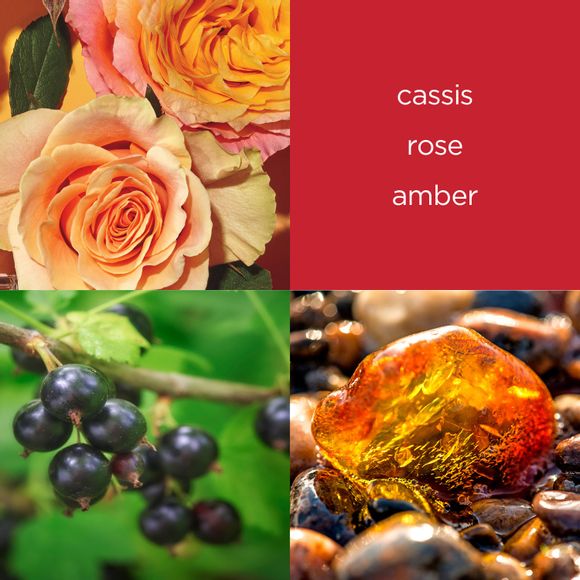 cassis
rose
amber