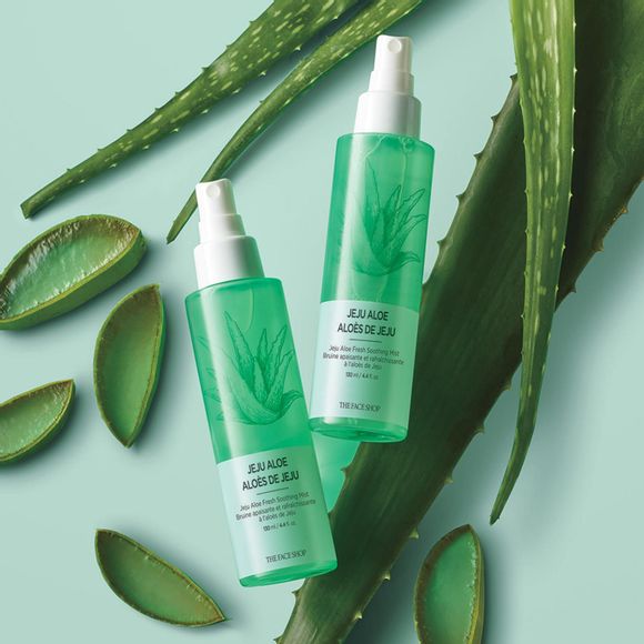 2 bottles of Jeju aloe soothing mist surrounded by whole and cut aloe leaves