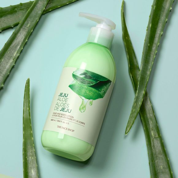 Jeju aloe body lotion surrounded by whole aloe leaves