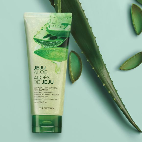 Jeju aloe facial cleanser next to whole and cut aloe leaves
